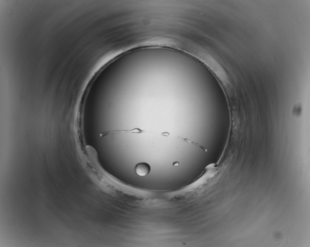 X0000103151044200808221326