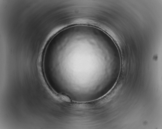 X0000103151045200808221326