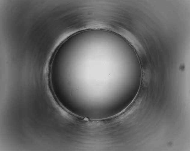 X0000103151046200808221326
