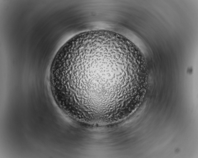 X0000103151047200808221326