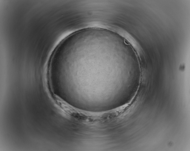 X0000103151048200808221326