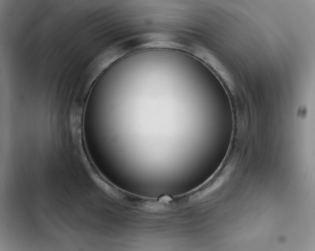 X0000103151049200808221326