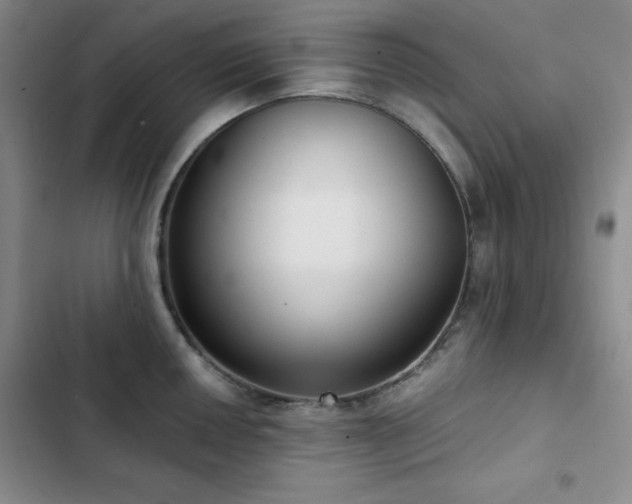 X0000103151050200808221326