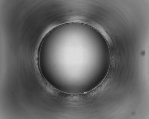X0000103151051200808221326