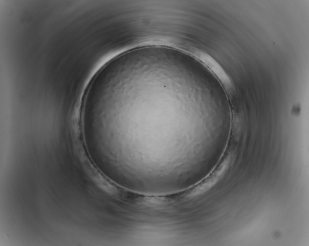 X0000103151052200808221326