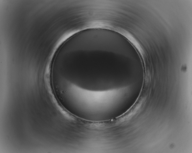 X0000103151053200808221326