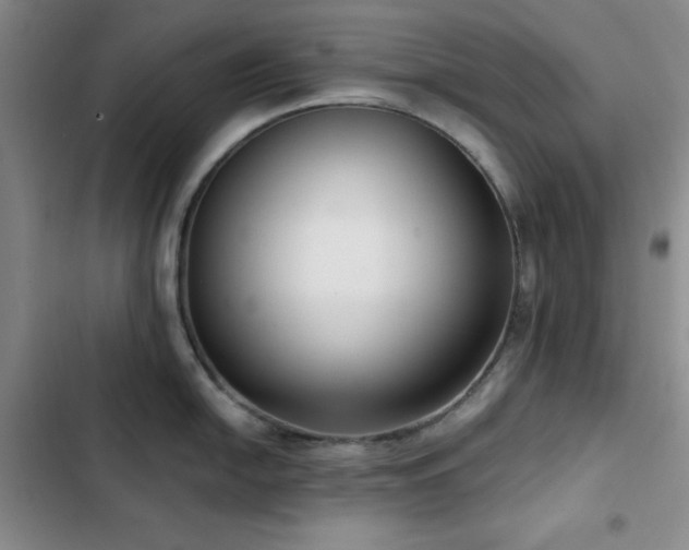 X0000103151054200808221326