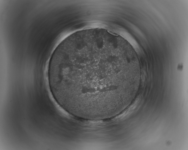 X0000103151055200808221326