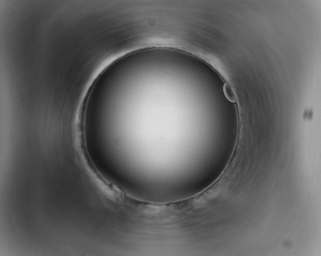 X0000103151056200808221326