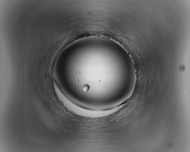 X0000103151057200808221325