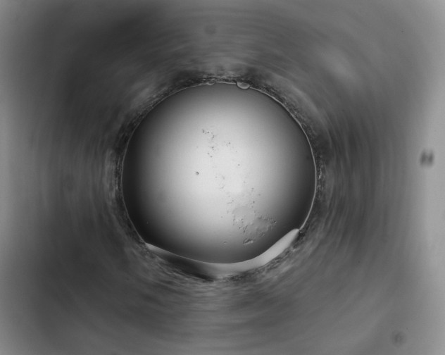 X0000103151058200808221325