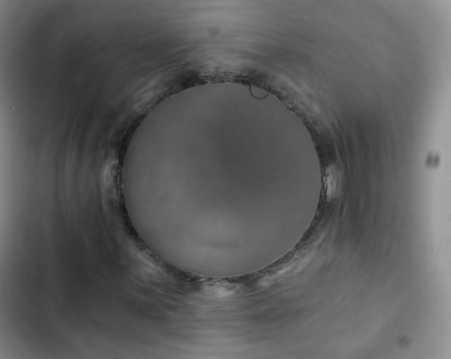 X0000103151059200808221325