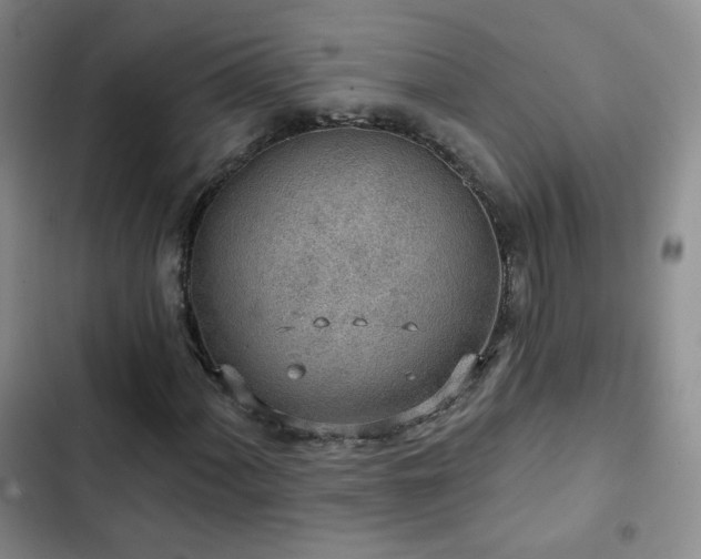 X0000103151060200808221325