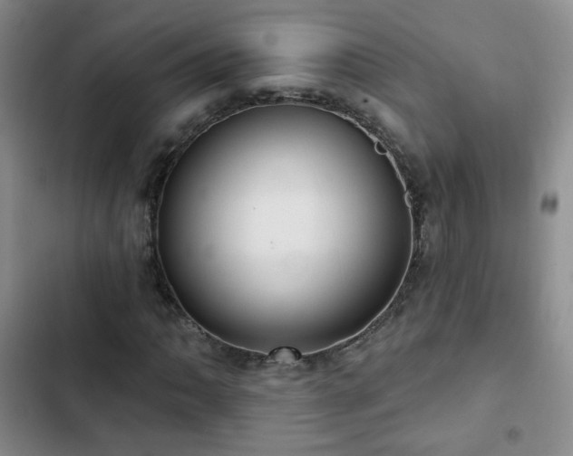X0000103151062200808221325