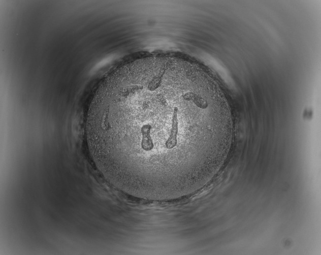 X0000103151063200808221325