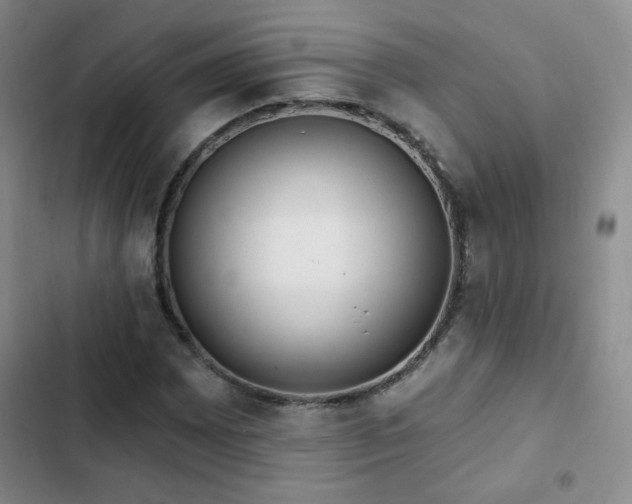 X0000103151065200808221325