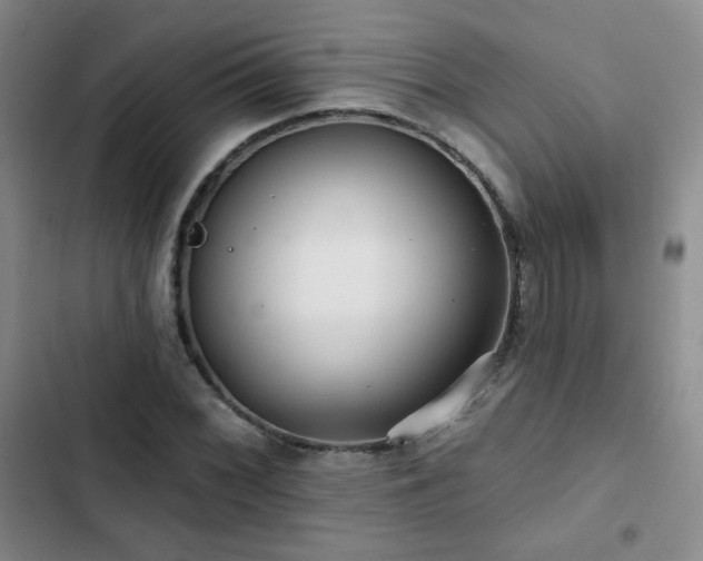 X0000103151068200808221325