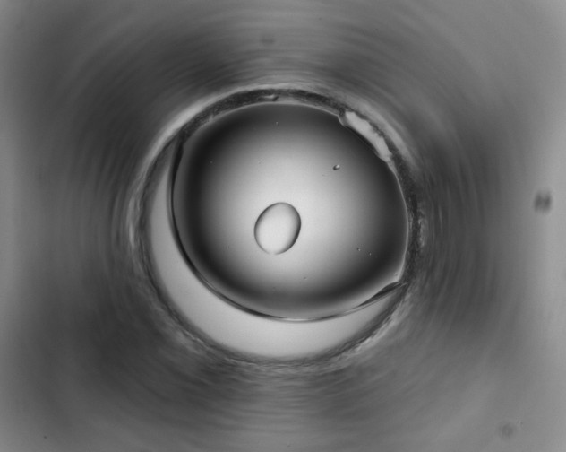 X0000103151069200808221325