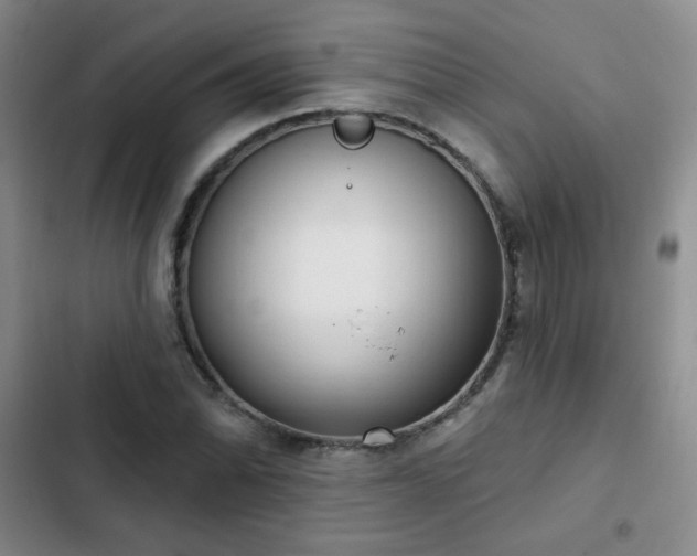 X0000103151070200808221325