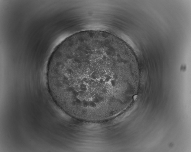 X0000103151071200808221325