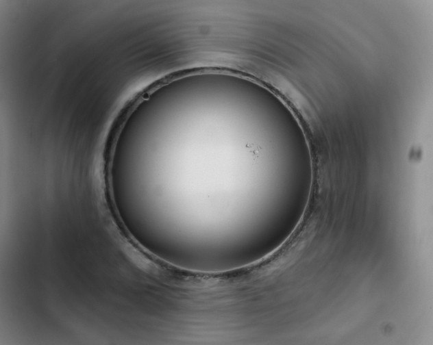 X0000103151072200808221325