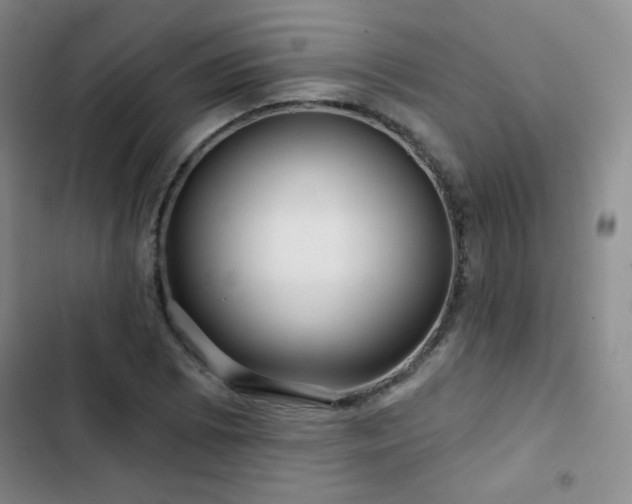 X0000103151073200808221325