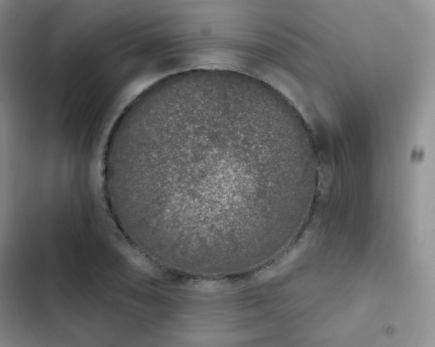 X0000103151074200808221325