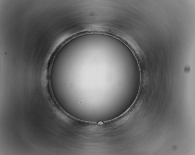 X0000103151075200808221325