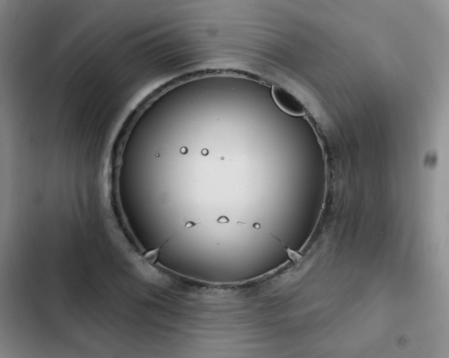 X0000103151076200808221325