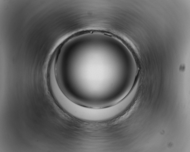 X0000103151077200808221325