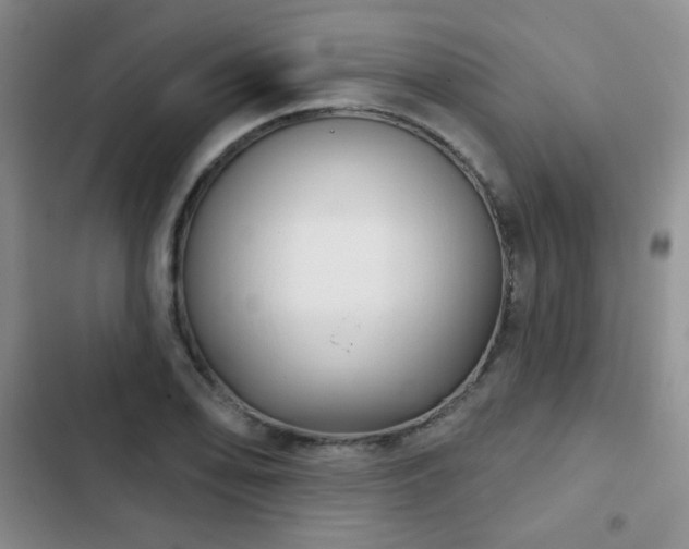 X0000103151078200808221325