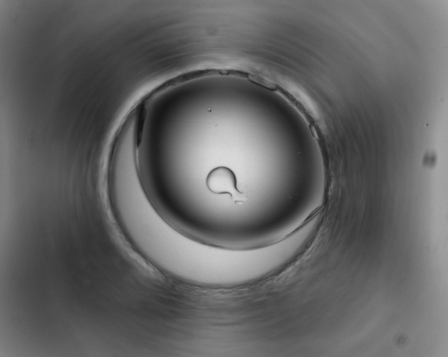 X0000103151080200808221325