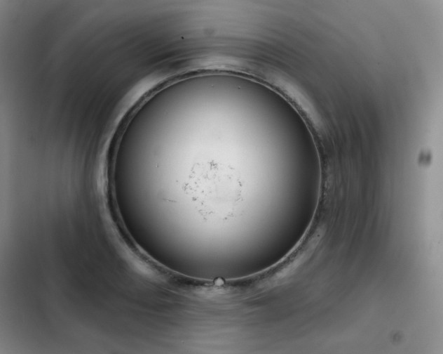 X0000103151082200808221325