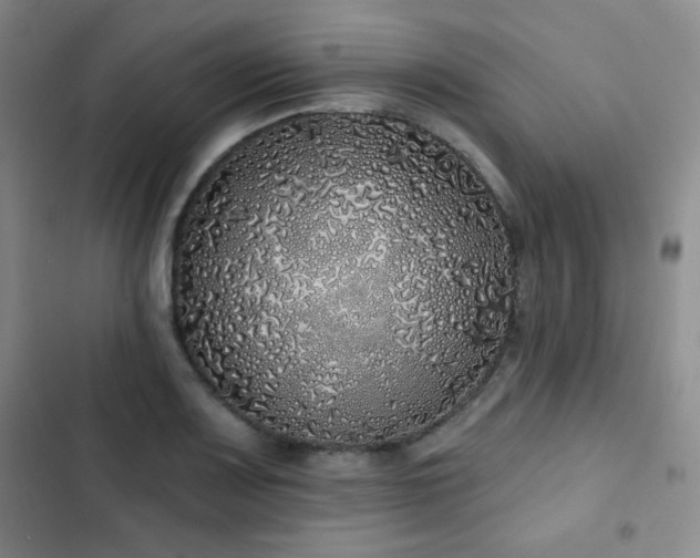 X0000103151083200808221325