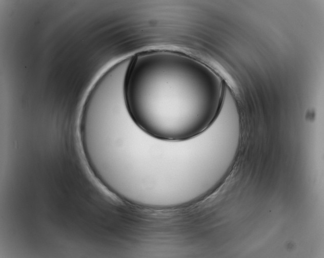 X0000103151084200808221325