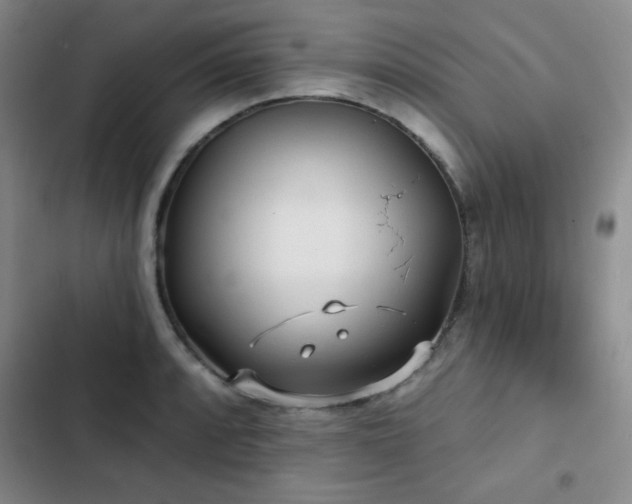 X0000103151088200808221325