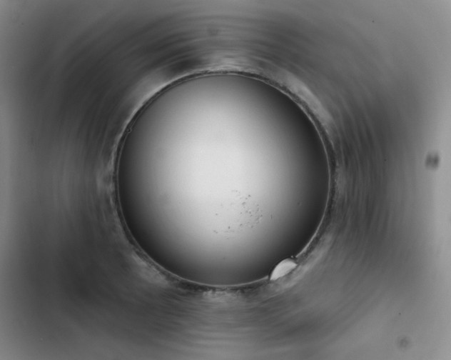 X0000103151089200808221325
