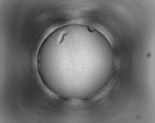X0000103151090200808221325