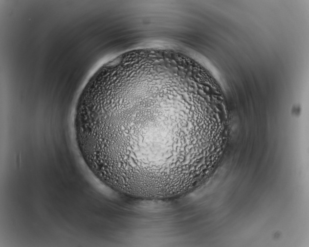 X0000103151091200808221325