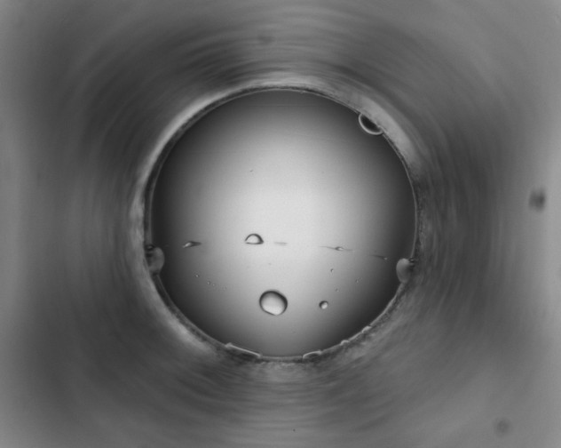 X0000103151092200808221325
