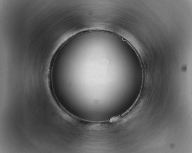 X0000103151093200808221325