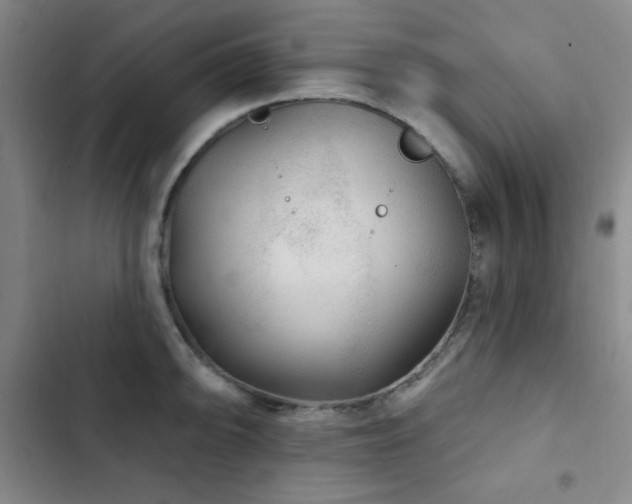 X0000103151094200808221325