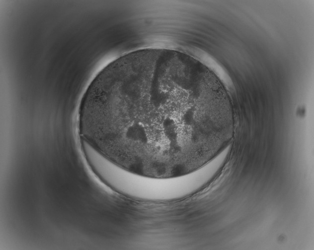 X0000103151095200808221325