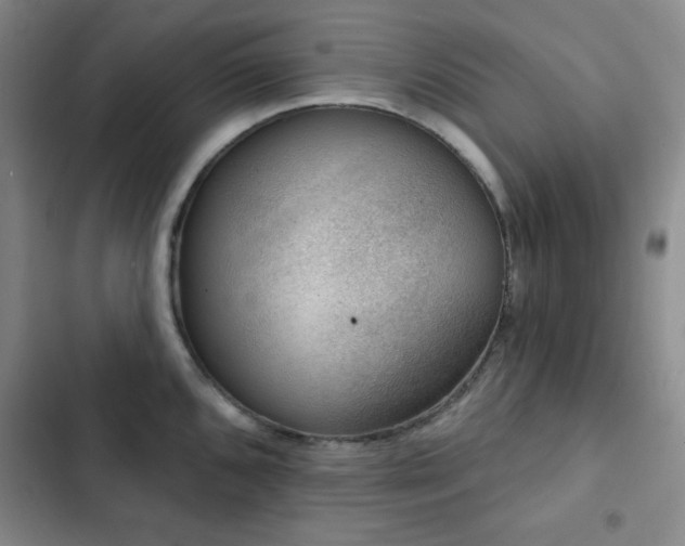 X0000103151096200808221325
