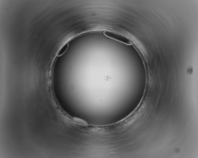 X0000103151097200808221325