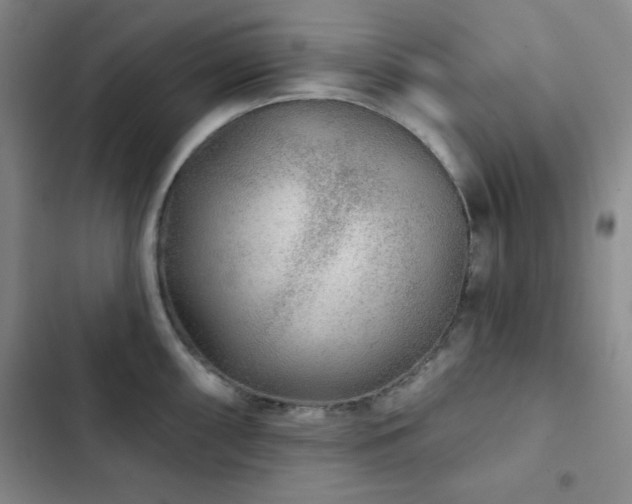 X0000103151098200808221325