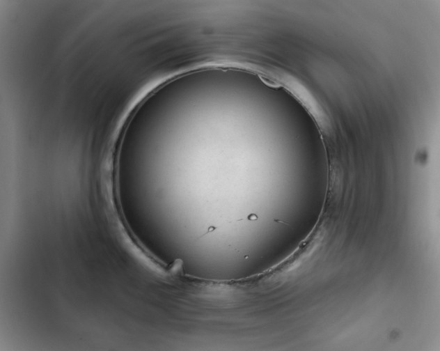 X0000103151100200808221325