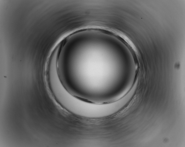 X0000103151101200808221325
