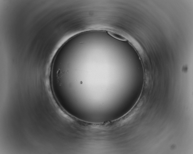 X0000103151102200808221325