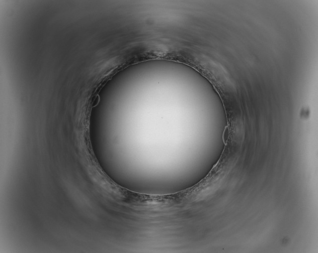 X0000103151105200808221324